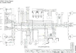 Warrior 350 Wiring Diagram Yamaha 350 Warrior Wiring Troubleshooter Shelectrik Com Warrior 350 Wiring Diagram Yamaha 350 Warrior Wiring Troubleshooter Shelectrik Com