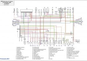 Warrior 350 Wiring Diagram Yamaha Warrior 350 Wiring Diagram Elegant 2001 Yamaha Warrior 350 Warrior 350 Wiring Diagram Yamaha Warrior 350 Wiring Diagram Elegant 2001 Yamaha Warrior 350