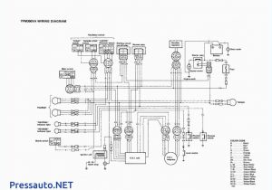 Warrior 350 Wiring Diagram Yamaha Warrior 350 Wiring Diagram Fresh 350 Warrior Wiring Diagram Warrior 350 Wiring Diagram Yamaha Warrior 350 Wiring Diagram Fresh 350 Warrior Wiring Diagram