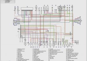 Warrior 350 Wiring Diagram Yamaha Warrior Wiring Diagram Wiring Diagrams Warrior 350 Wiring Diagram Yamaha Warrior Wiring Diagram Wiring Diagrams