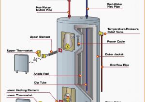 Water Heater Wiring Diagram Dual Element Wiring Diagram for 220 Volt Baseboard Heater Bookingritzcarlton Info