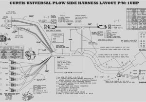 Western Plow Wiring Diagram 9 Point Western Unimount Wiring Diagram Wiring Diagram Data Western Plow Wiring Diagram 9 Point Western Unimount Wiring Diagram Wiring Diagram Data