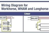 Wh3 120 L Wiring Diagram Workhorse 2 Ballast Wiring Diagram Wiring Diagram Sample