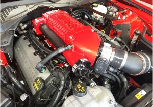 Whipple Supercharger Wiring Diagram 2015 2016 Whipple Supercharger ford Mustang Sc System Whipple Supercharger Wiring Diagram 2015 2016 Whipple Supercharger ford Mustang Sc System