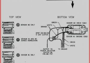 Wilkinson Humbucker Wiring Diagram Emg Guitar Wiring Diagrams Pick Up One Volume Wiring Diagram Center