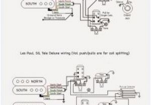 Wilkinson Humbucker Wiring Diagram Wiring Diagram Double Neck Dimarzio Pickup Wiring Diagram Unique