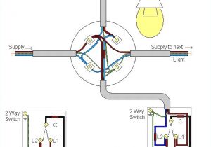 Wire 2 Lights to 1 Switch Diagram Wiring Two Fluorescent Lights to One Switch Data Schematic Diagram