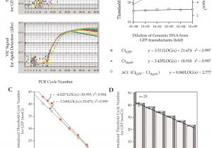 Wire Diagram for Trailer Lights Wiring Diagram Car Trailer 7 Pin Unique Trailer Plug Wire Diagram Wire Diagram for Trailer Lights Wiring Diagram Car Trailer 7 Pin Unique Trailer Plug Wire Diagram