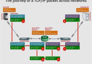 Wire Diagram for Website Cat5 Cable Wiring Diagram Wiring Diagrams Wire Diagram for Website Cat5 Cable Wiring Diagram Wiring Diagrams