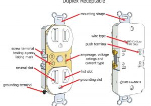 Wiring A Duplex Outlet Diagram Wire Plug Diagram Wiring Diagram