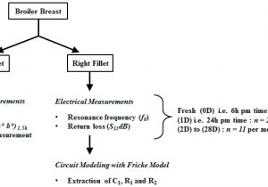 Wiring A Gfci Outlet Diagram 56 Awesome Gfci Wiring Diagrams Collection Wiring Diagram Wiring A Gfci Outlet Diagram 56 Awesome Gfci Wiring Diagrams Collection Wiring Diagram