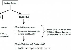 Wiring A Switched Outlet Diagram How to Install An Electrical Outlet From A Light Switch Most Wiring