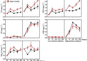 Wiring Ceiling Lights Diagram Wiring Diagram Marvelousiring Ceiling Fanith Light How toire and Wiring Ceiling Lights Diagram Wiring Diagram Marvelousiring Ceiling Fanith Light How toire and
