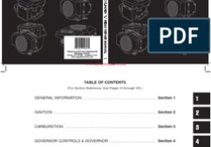 Wiring Diagram Briggs and Stratton 12.5 Hp 271172 Twin Cylinder L Head Repair Manual Briggs Stratton Wiring Diagram Briggs and Stratton 12.5 Hp 271172 Twin Cylinder L Head Repair Manual Briggs Stratton