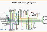 Wiring Diagram for 110cc 4 Wheeler Kazuma Wiring Diagram Wiring Diagram Centre