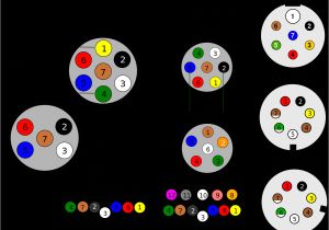 Wiring Diagram for 13 Pin Caravan socket Circle W Trailer Wiring Diagram Wiring Diagram Centre