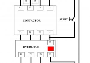 Wiring Diagram for 3 Phase Motor Starter Iec Motor Wiring Diagram Wiring Diagram List