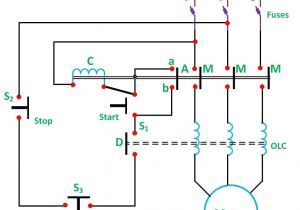 Wiring Diagram for 3 Phase Motor Starter What is Direct On Line Starter Its theory Of Starting Circuit Globe Wiring Diagram for 3 Phase Motor Starter What is Direct On Line Starter Its theory Of Starting Circuit Globe