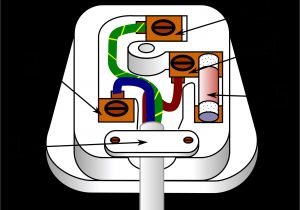 Wiring Diagram for 3 Pin Plug Wiring A 3 Pin Plug Worksheet Wiring Diagram Show Wiring Diagram for 3 Pin Plug Wiring A 3 Pin Plug Worksheet Wiring Diagram Show