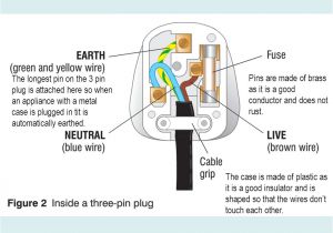 Wiring Diagram for 3 Pin Plug Wiring A 3 Pin Plug Worksheet Wiring Diagram Show Wiring Diagram for 3 Pin Plug Wiring A 3 Pin Plug Worksheet Wiring Diagram Show