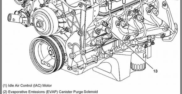 Wiring Diagram for 350 Chevy Engine Silverado 4 8 Engine Diagram Wiring Diagram Fascinating