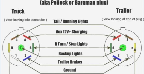 Wiring Diagram for A 7 Pin Trailer Plug 7 Wire Trailer Connector Diagram Wiring Database Diagram