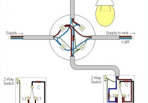 Wiring Diagram for A Two Way Switch Wiring Two Fluorescent Lights to One Switch Data Schematic Diagram