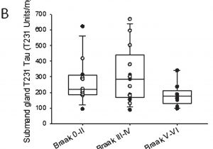 Wiring Diagram for aftermarket Radio aftermarket Car Stereo Wiring Diagram Wiring Diagram Database Wiring Diagram for aftermarket Radio aftermarket Car Stereo Wiring Diagram Wiring Diagram Database