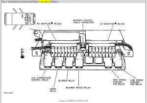 Wiring Diagram for An Electric Fuel Pump and Relay Oldsmobile Fuel Pump Wiring Wiring Diagram Basic
