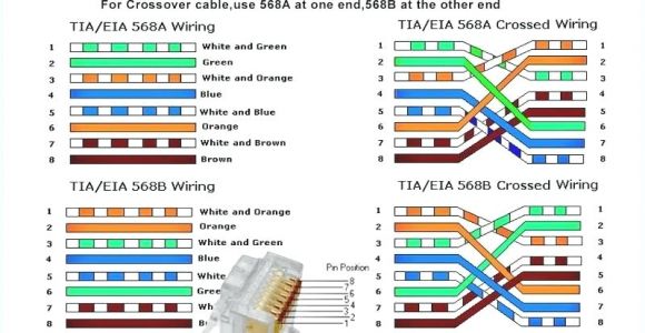 Wiring Diagram for Cat5 Crossover Cable Ethernet Ab Wiring Diagram Wiring Diagram Rows