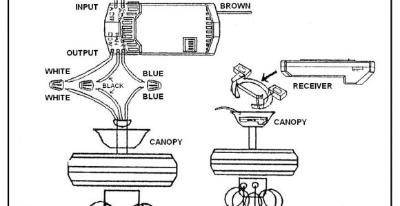 Wiring Diagram for Ceiling Fan with Light and Remote Hunter Ceiling Fan Wiring Diagram with Remote Control