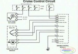 Wiring Diagram for Cruise Control Cruise Control Wiring Diagram 99 ford E350 Wiring Diagram Schema Wiring Diagram for Cruise Control Cruise Control Wiring Diagram 99 ford E350 Wiring Diagram Schema