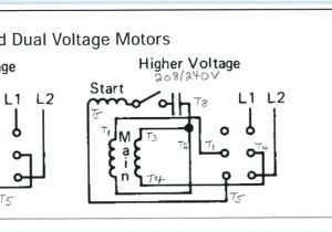 Wiring Diagram for forward Reverse Single Phase Motor 3 Phase Motor Wiring Diagram and Symbols Wiring Diagram Rules