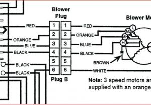 Wiring Diagram for Furnace Blower Motor Janitrol Blower Wiring Diagram Blog Wiring Diagram