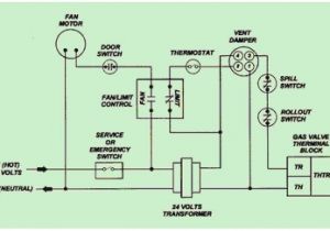Wiring Diagram for Gas Furnace Ruud Furnace Wiring Diagram Wiring Diagram Blog