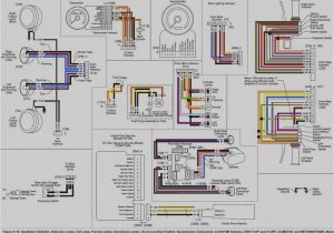 Wiring Diagram for Harley Davidson softail Harley Wiring Harness 2007 Wiring Diagram Img