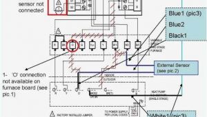 Wiring Diagram for Honeywell thermostat Honeywell thermostat Hookup Turek2014 Info