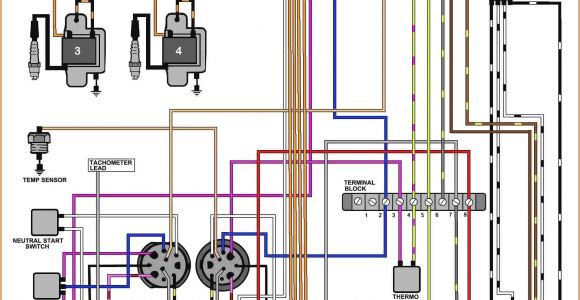 Wiring Diagram for Johnson Outboard Motor Johnson 55 Hp Wiring Diagram Blog Wiring Diagram