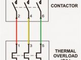 Wiring Diagram for Motor 3 Phase Motor Starter Wiring Diagram Pdf Wiring Diagram Image