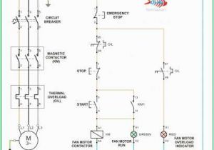 Wiring Diagram for Motor Three Phase Starter Wiring Diagram top Three Phase Motor Wiring