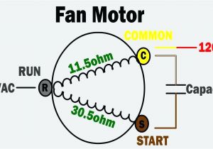 Wiring Diagram for Motor Wiring Diagram Ac Fan Motor 3 Refrence tower Fresh Http