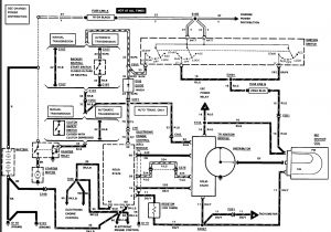 Wiring Diagram for Neutral Safety Switch ford Neutral Safety Switch Wiring Wiring Diagram Files