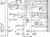 Wiring Diagram for Neutral Safety Switch Gm Neutral Safety Switch Wiring Wiring Diagram Files