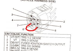 Wiring Diagram for Neutral Safety Switch Write Up for bypassing the Nss Neutral Safety Switch Jeepforum Com Wiring Diagram for Neutral Safety Switch Write Up for bypassing the Nss Neutral Safety Switch Jeepforum Com