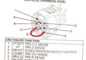 Wiring Diagram for Neutral Safety Switch Write Up for bypassing the Nss Neutral Safety Switch Jeepforum Com