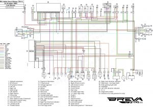 Wiring Diagram for Rear Parking Sensors 04 Dodge Ram Wiring Diagram Rear Wiring Diagram Db