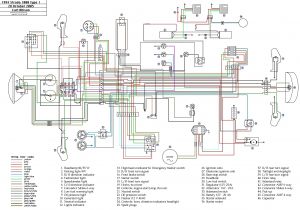 Wiring Diagram for Rear Parking Sensors Opel Engine Diagram Wiring Diagram Operations