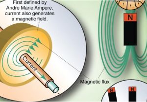 Wiring Diagram for Squirrel Cage Motor What S the Difference Between Ac Induction Permanent Magnet and Wiring Diagram for Squirrel Cage Motor What S the Difference Between Ac Induction Permanent Magnet and