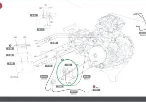 Wiring Diagram for Trailer Lights 6 Way 7 Way Plug Wiring Diagram Trailer Trailers Wiring Diagram 7 Way Wiring Diagram for Trailer Lights 6 Way 7 Way Plug Wiring Diagram Trailer Trailers Wiring Diagram 7 Way