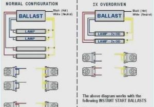 Wiring Diagram for Trailer Lights Boat Wiring Diagrams Download Wesbar Trailer Light Wiring Diagram